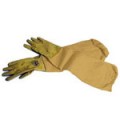 Best Value Canvas Gloves